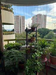 Neptune Court (D15), Apartment #441078701